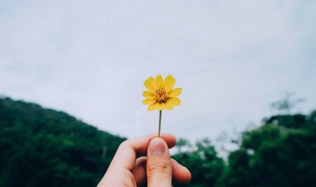 How to awaken joy in turmoil, hand holding a flower