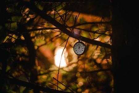 Meditation & Reflection Healing our Relationship with time through Patience